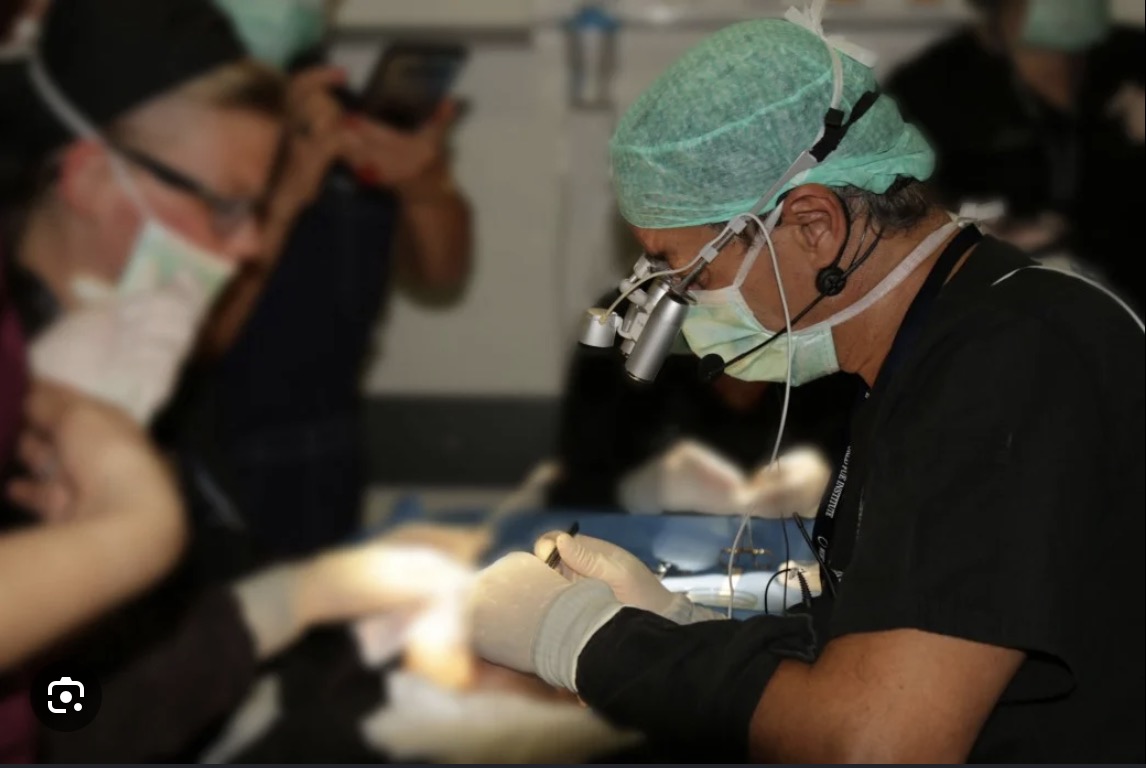Hairforlife – Zusammenarbeit mit erfahrenen Haarchirurgen und Kliniken